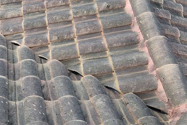 Roof before soft washing