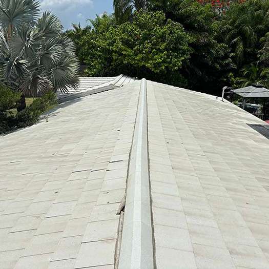 Restored asphalt shingle roof after soft washing