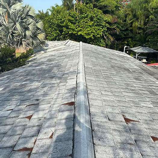 Black-streaked asphalt shingle roof before soft washing